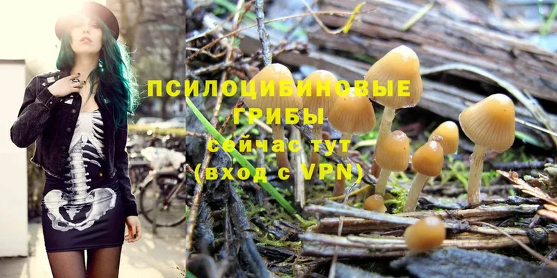 Псилоцибиновые грибы Magic Shrooms  Бутурлиновка 